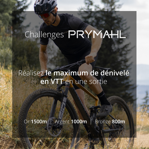 Challenge Dynamo