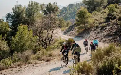 Du Luxembourg au Mont Ventoux, en bikepacking