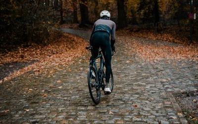 Quels sont les principaux Bergs du Tour des Flandres ?