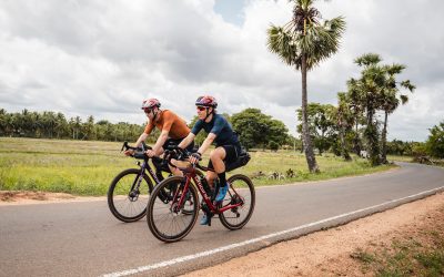 Vélo Gravel performant ou Vélo de Route Endurance : quelles différences ?